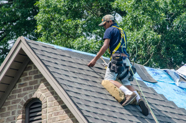 Best Local Roofing Companies  in Santa Fe, TX